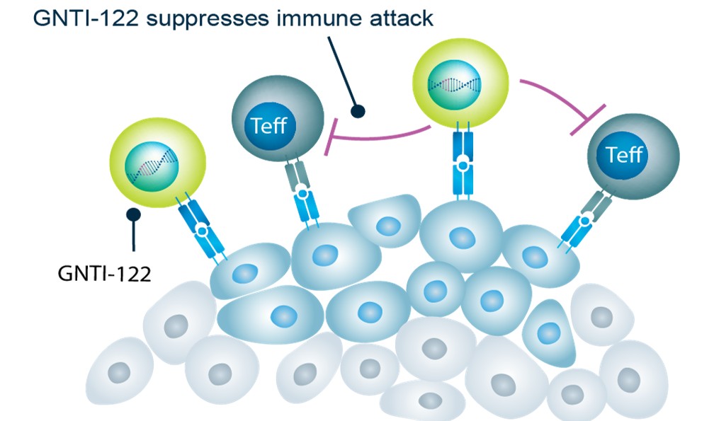 POLARIS Type one diabetes clinical study - Suppresses immune attack.